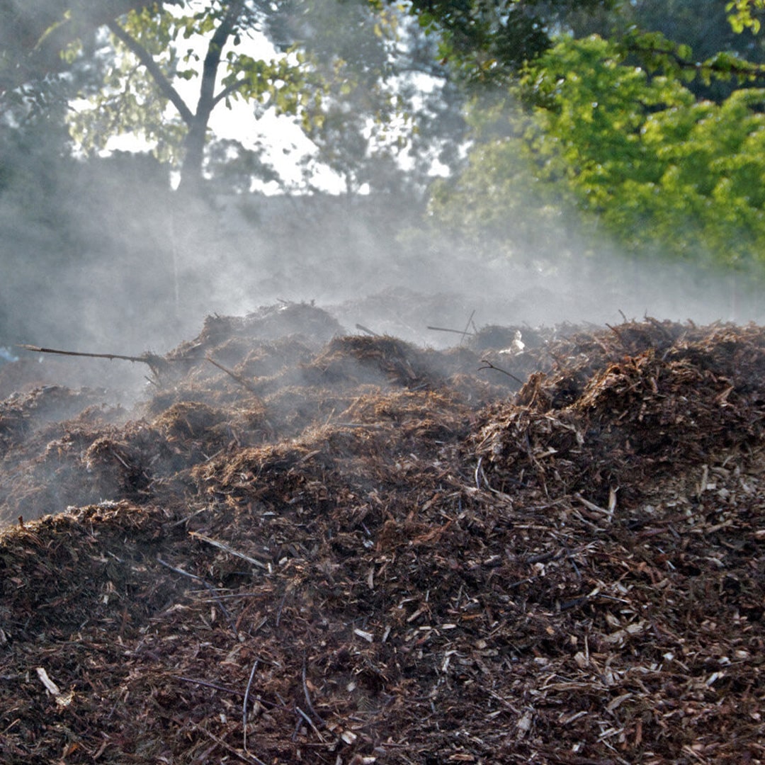 Accelerate Your Lawns Performance with Our Pro Select Compost Topdressing