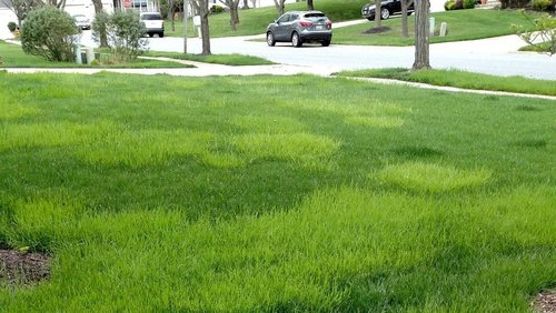 (Purdue University, Turfgrass Science)