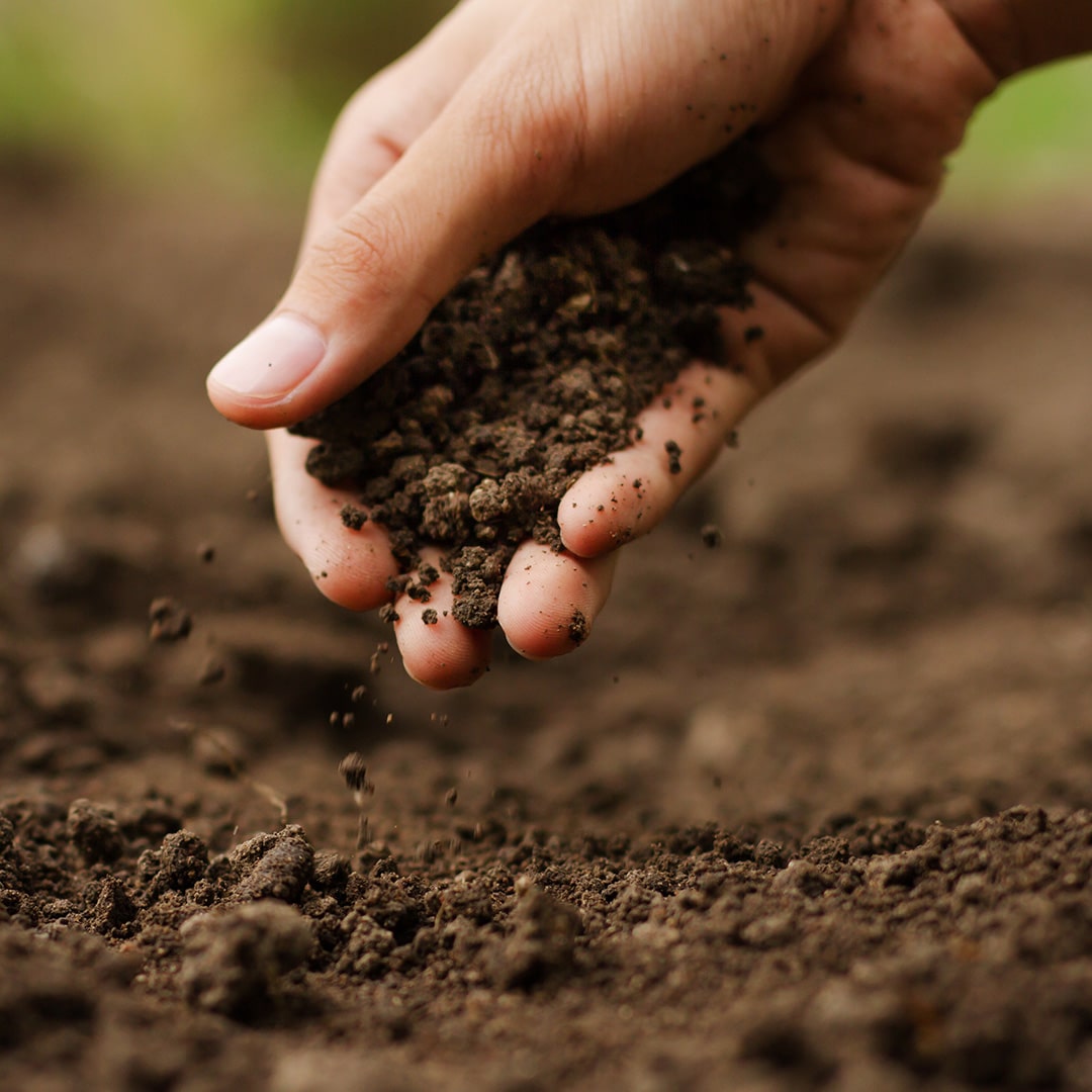 Soil Testing Terminology