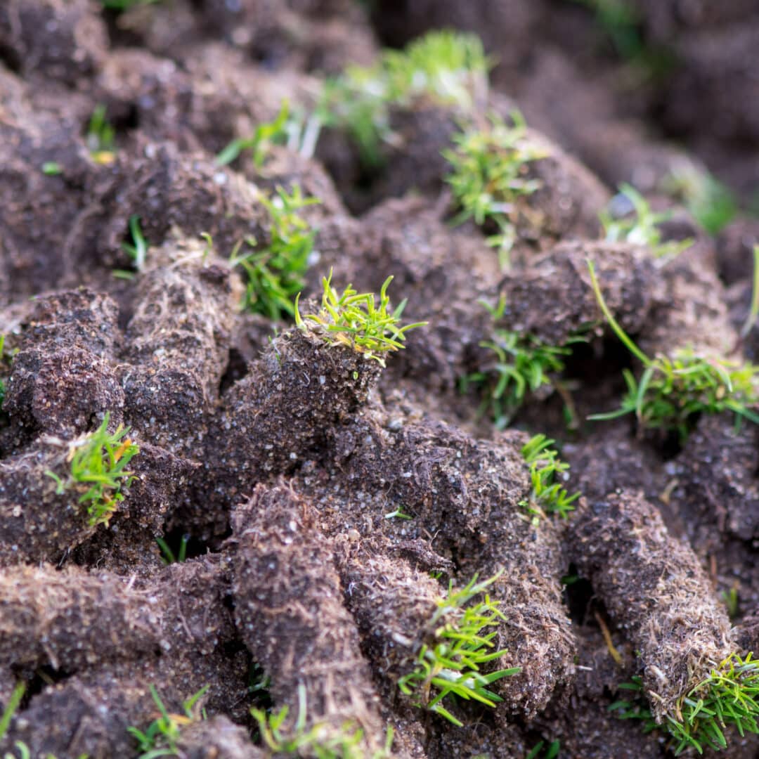 Factors Impacting Aeration and Overseeding Cost