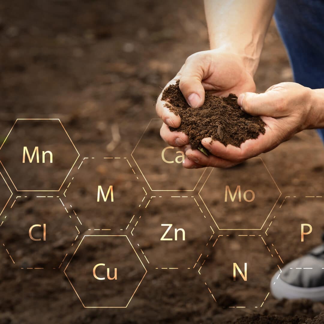 Soil Testing