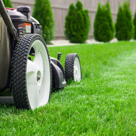 Lawn Mowing Tips