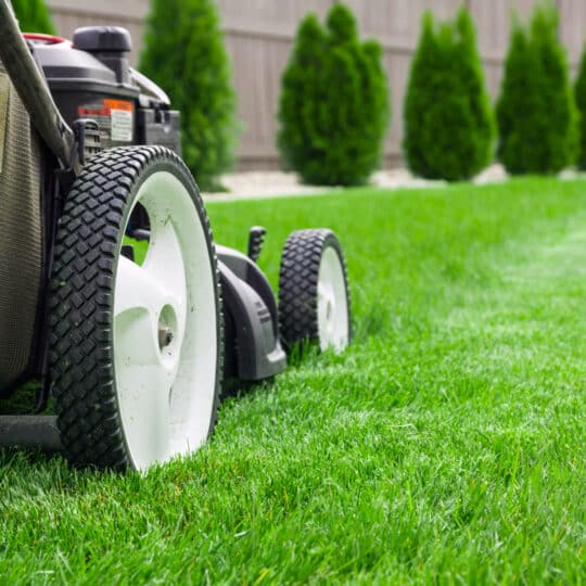 Lawn mower cutting green grass in backyard, mowing lawn