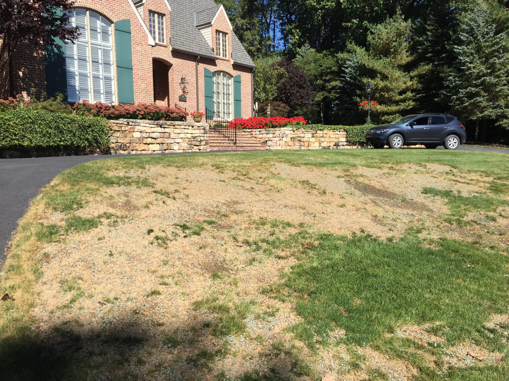 Extensive damage due to grub feeding on non-treated lawn.