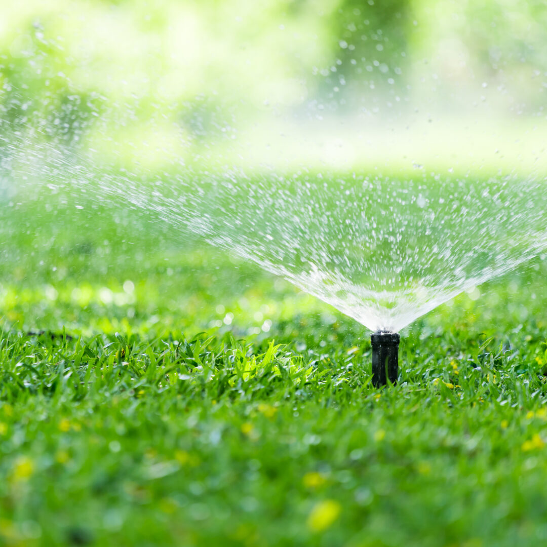 Proper Lawn Watering Practices
