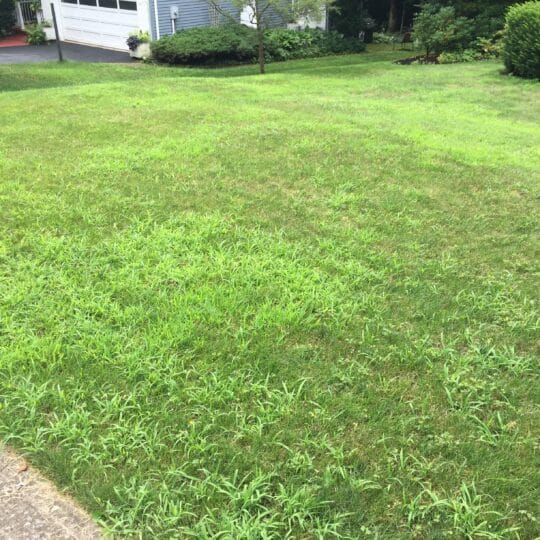 Late Summer Round Up