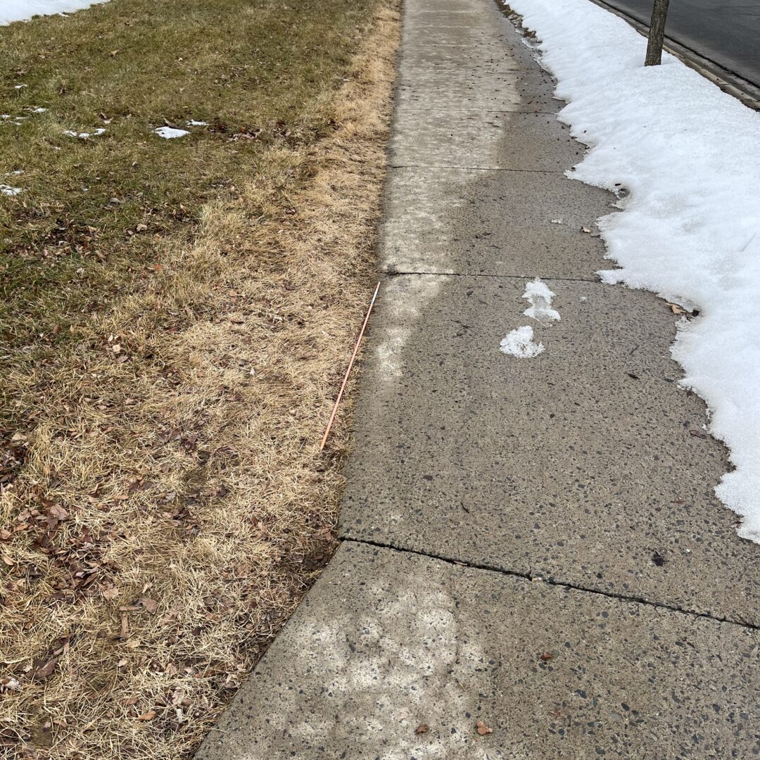 Transitioning from Winter to Spring Green-up