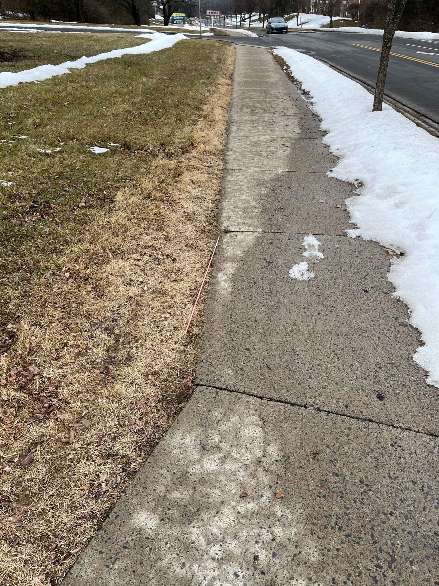 salt injury along sidewalk